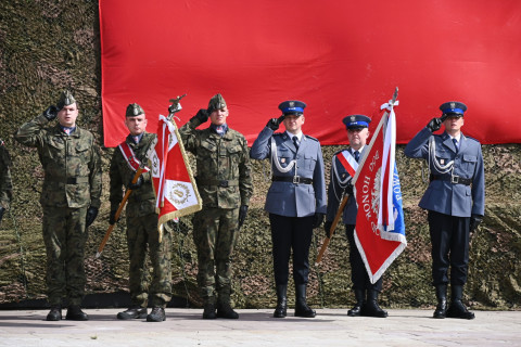 Obchody Dnia Flagi RP w Brzesku.