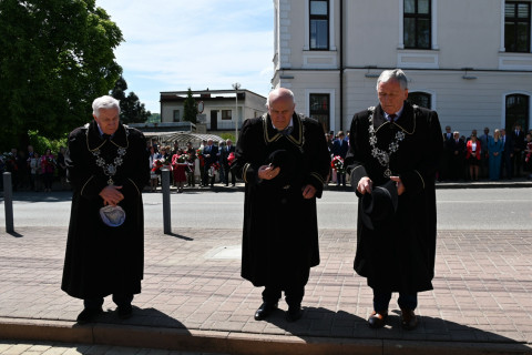 Obchody Święta Konstytucji 3 Maja