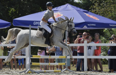 I Brzeskie Zawody Jeździeckie