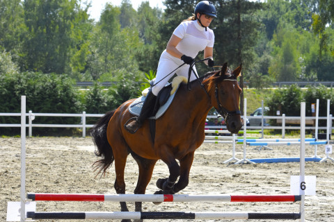 I Brzeskie Zawody Jeździeckie