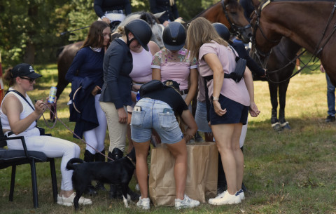 I Brzeskie Zawody Jeździeckie