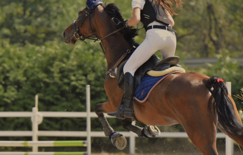 I Brzeskie Zawody Jeździeckie