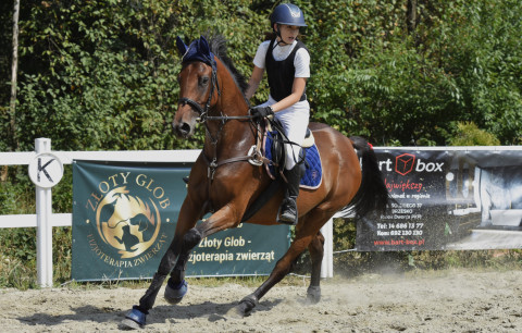 I Brzeskie Zawody Jeździeckie