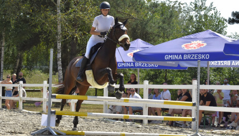 I Brzeskie Zawody Jeździeckie