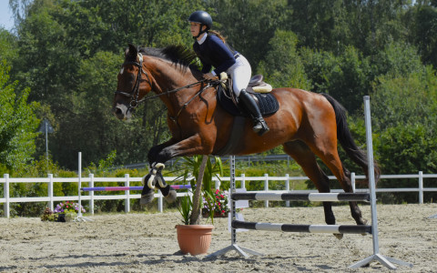 I Brzeskie Zawody Jeździeckie