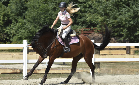 I Brzeskie Zawody Jeździeckie