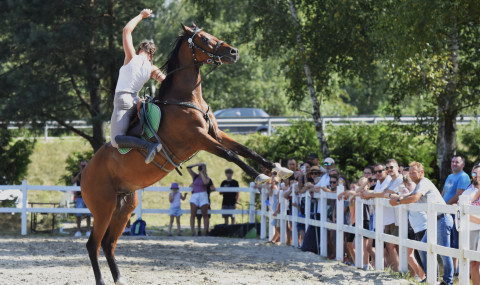 I Brzeskie Zawody Jeździeckie