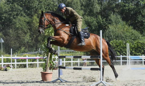 I Brzeskie Zawody Jeździeckie