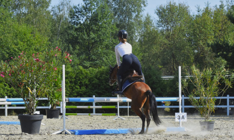 I Brzeskie Zawody Jeździeckie