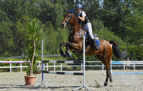 I Brzeskie Zawody Jeździeckie