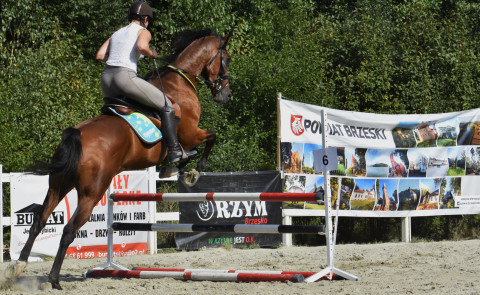 I Brzeskie Zawody Jeździeckie