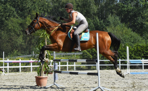 I Brzeskie Zawody Jeździeckie