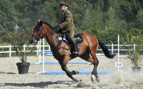 I Brzeskie Zawody Jeździeckie