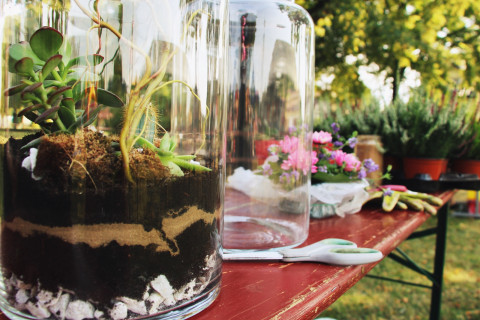 Szczepanowski Festiwal Kwiatów 2020