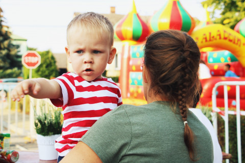 Szczepanowski Festiwal Kwiatów 2020