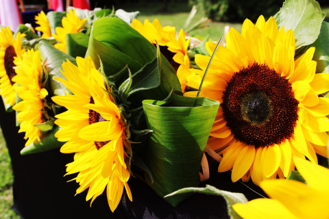 Wrześniowy hołd przed odnowionym pomnikiem