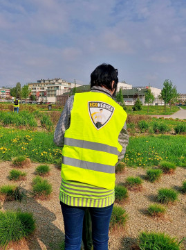 EcoHeroes Brzesko 2025