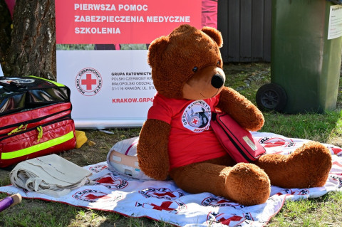 Wiek to tylko liczba - Senior Party 2025