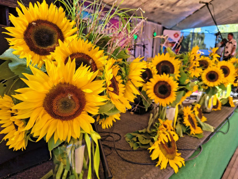 Wiek to tylko liczba - Senior Party 2025