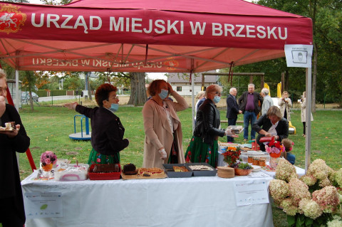 Buczańskie gotowanie szansą na ekonomizację Stowarzyszenia