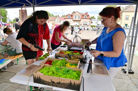 Brzesko na Rowerze 2025