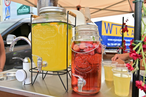 Brzesko na Rowerze 2025