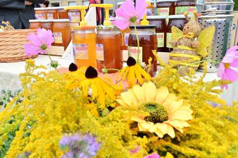 XXIV Diecezjalne Święto Chleba w Brzesku