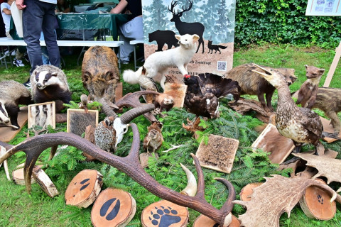 XXIV Diecezjalne Święto Chleba w Brzesku