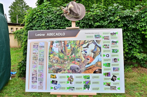 XXIV Diecezjalne Święto Chleba w Brzesku