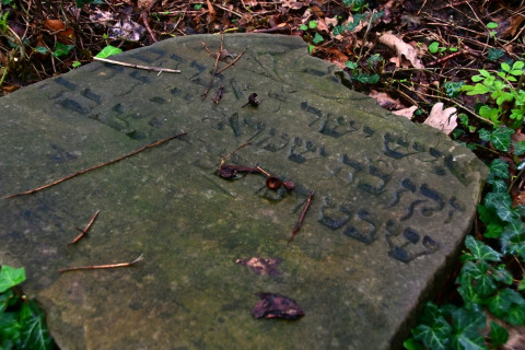 Brzesko - Łączy nas pamięć