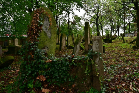 Brzesko - Łączy nas pamięć