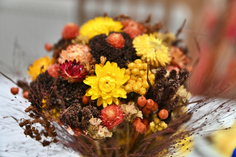 Dzień Seniora w Dziennym Domu „Senior+"