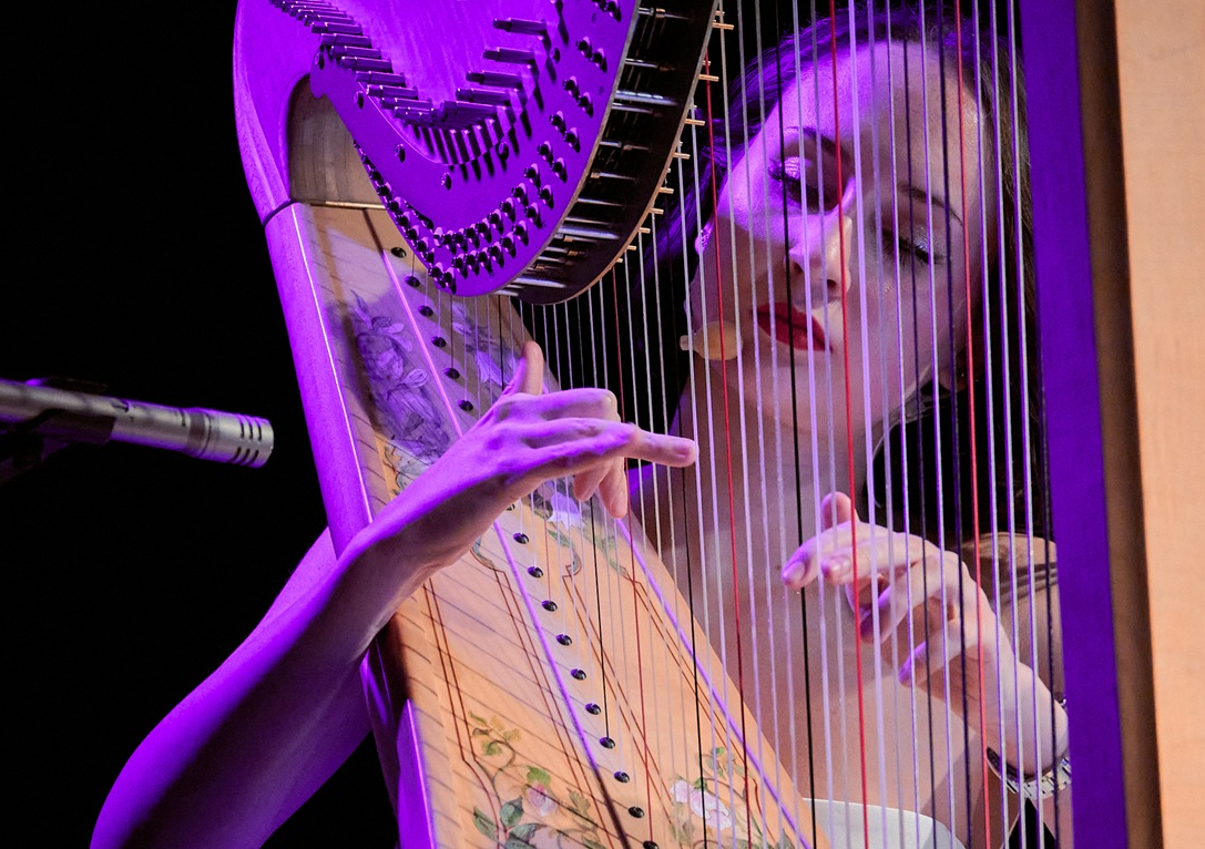 Magia harfy na brzeskiej scenie