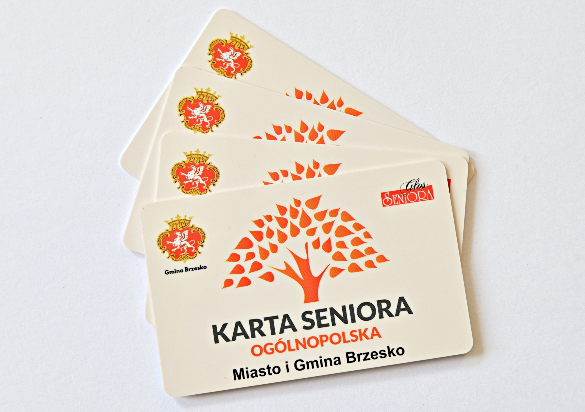 Ogólnopolska Karta Seniora w 2026 roku