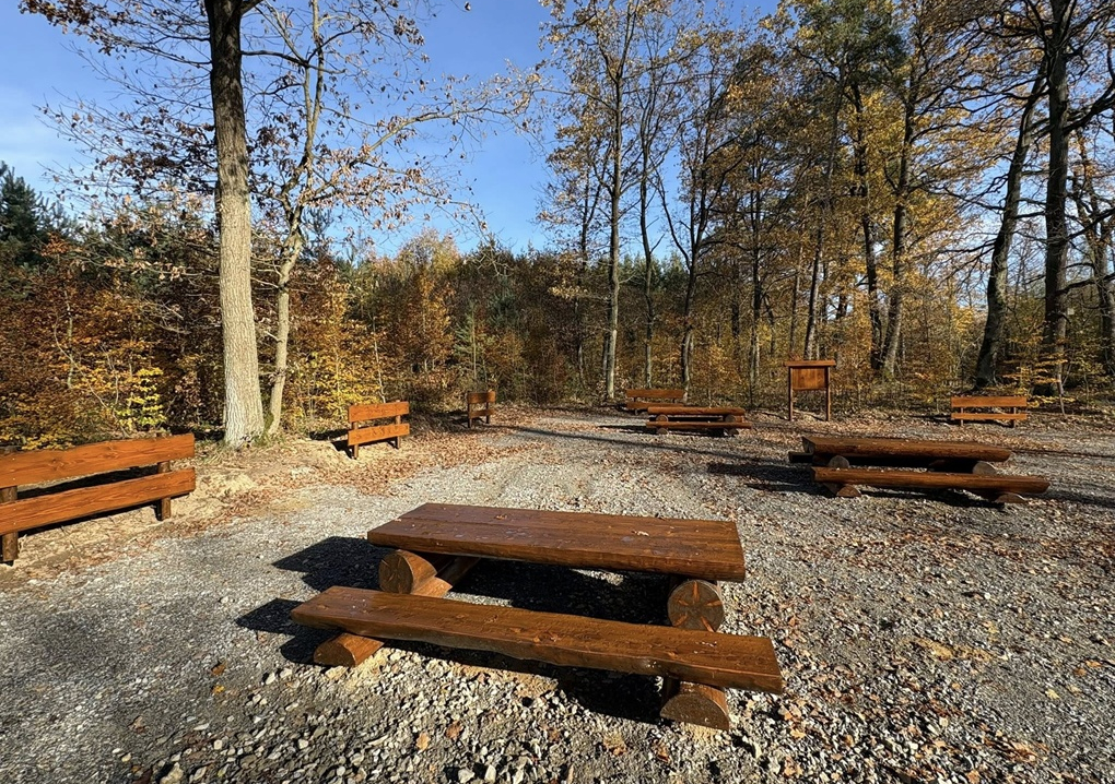 Miejsce odpoczynku w Lesie Szczepanowskim