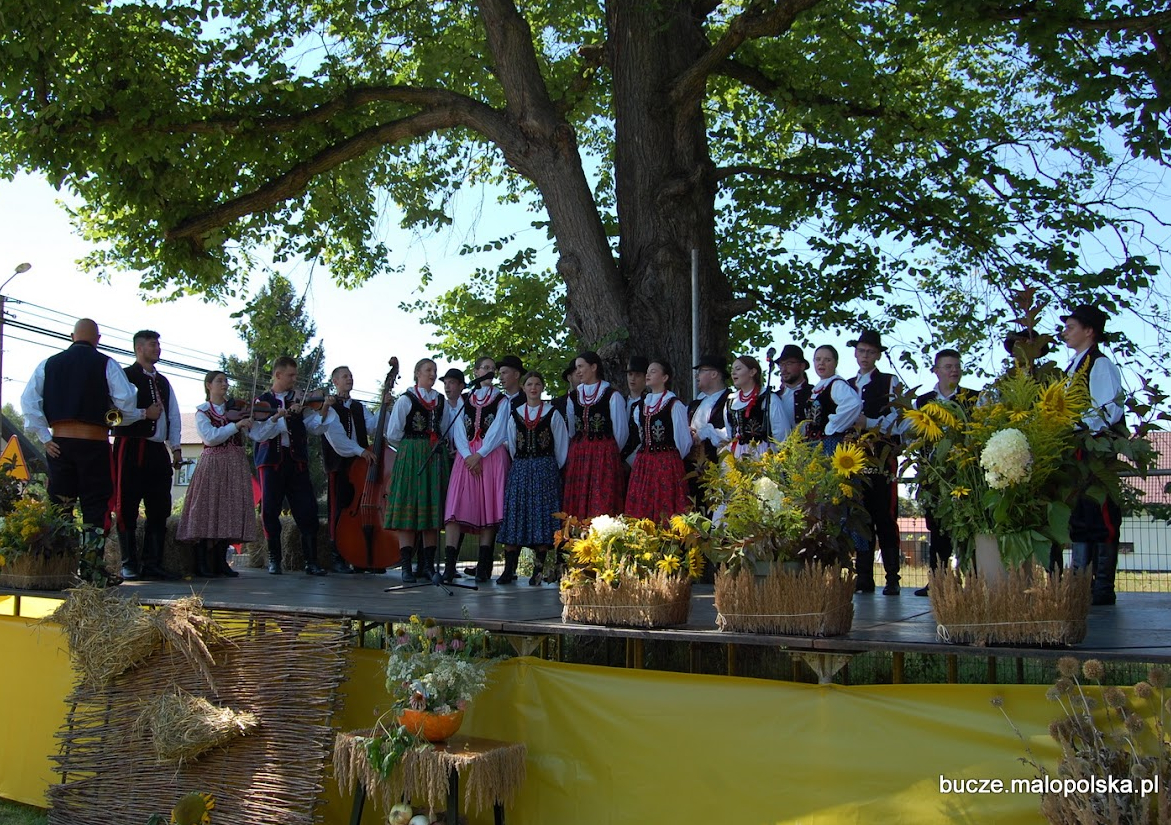 Dożynkowy Piknik w Buczu