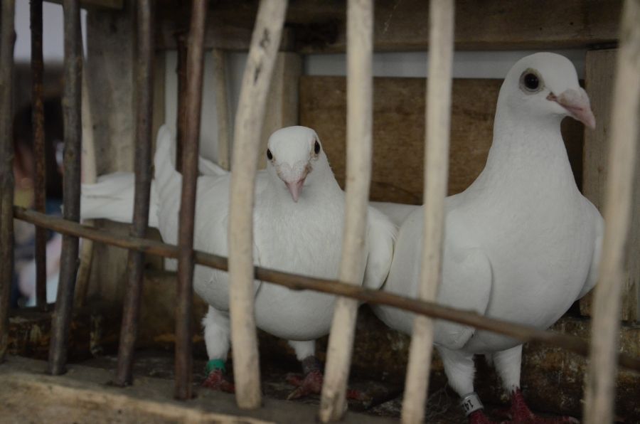 Wystawa Zbigniewa Ważydrąga