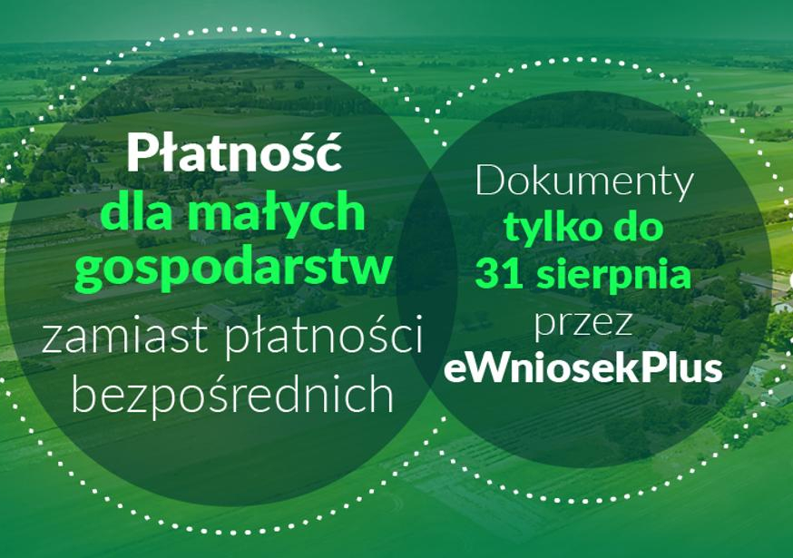 Płatność dla małych gospodarstw zamiast płatności bezpośrednich