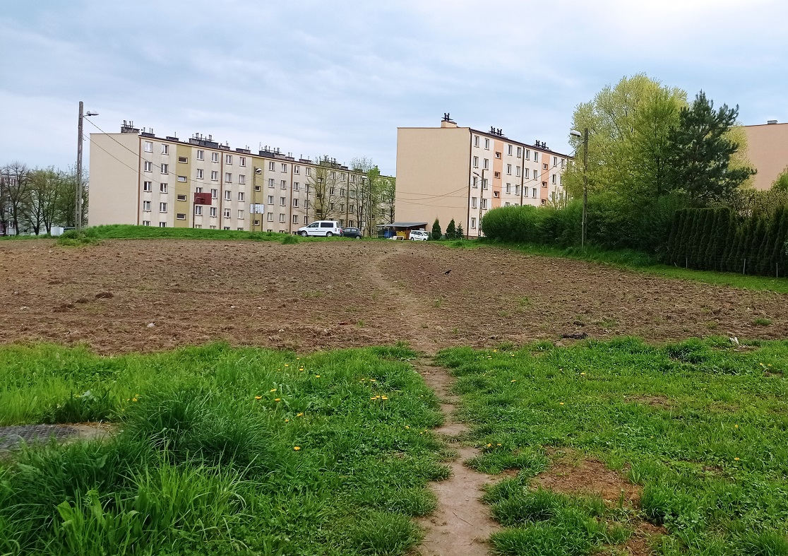 Szanujmy kwietne łąki