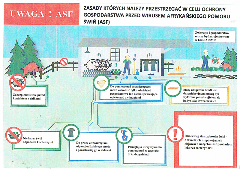 Apel do hodowców trzody chlewnej