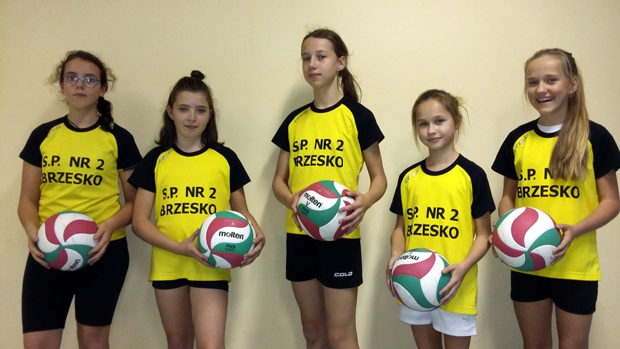 Mistrzostwa gminy w mini piłce siatkowej