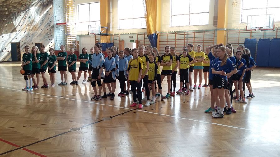 Piłka ręczna w PSP 2 Brzesko