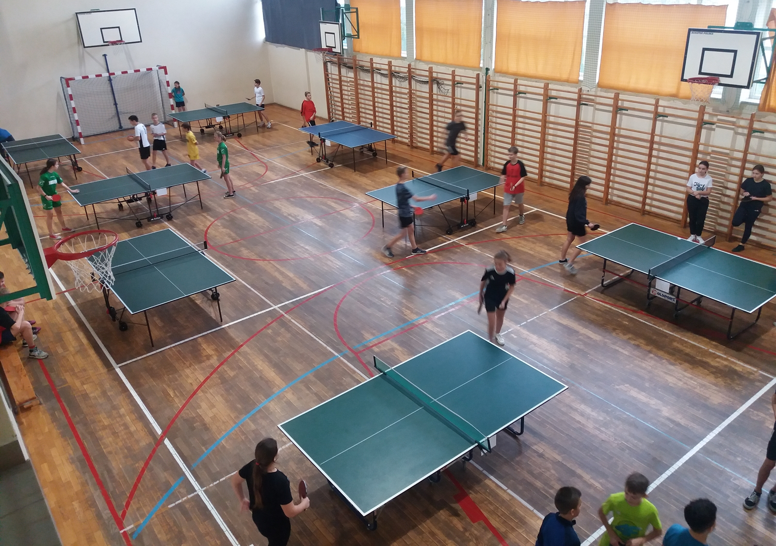 Indywidualni mistrzowie ping ponga