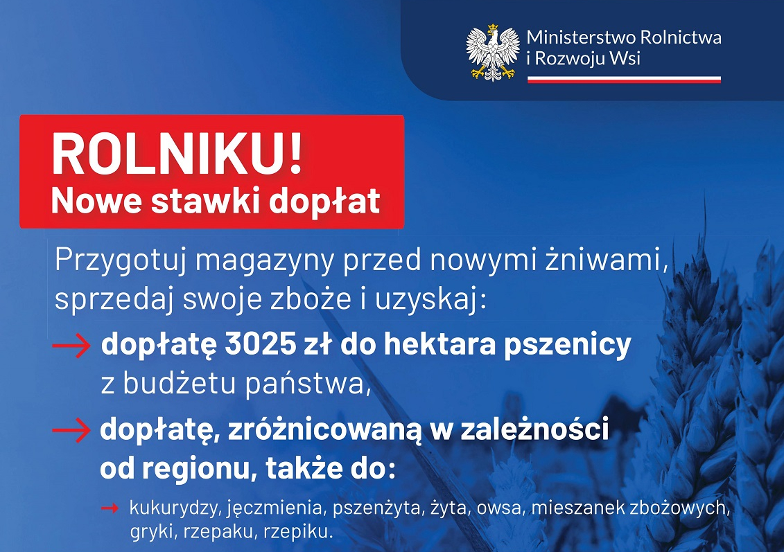 Nowe stawki dopłat do zbóż oraz rzepaku i rzepiku