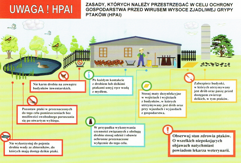 Apel do hodowców drobiu