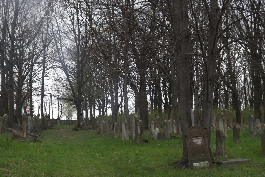 Sprzątanie cmentarza żydowskiego