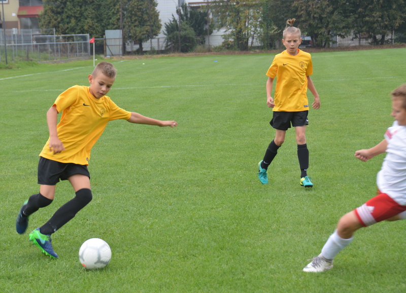 Piknik wojskowy w Mokrzyskach