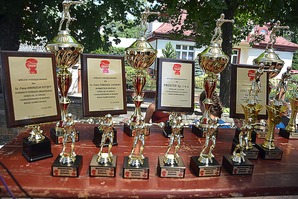 Międzynarodowe Grand Prix Małopolski w Boksie