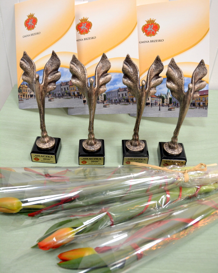 Święto Kobiet w Mokrzyskach