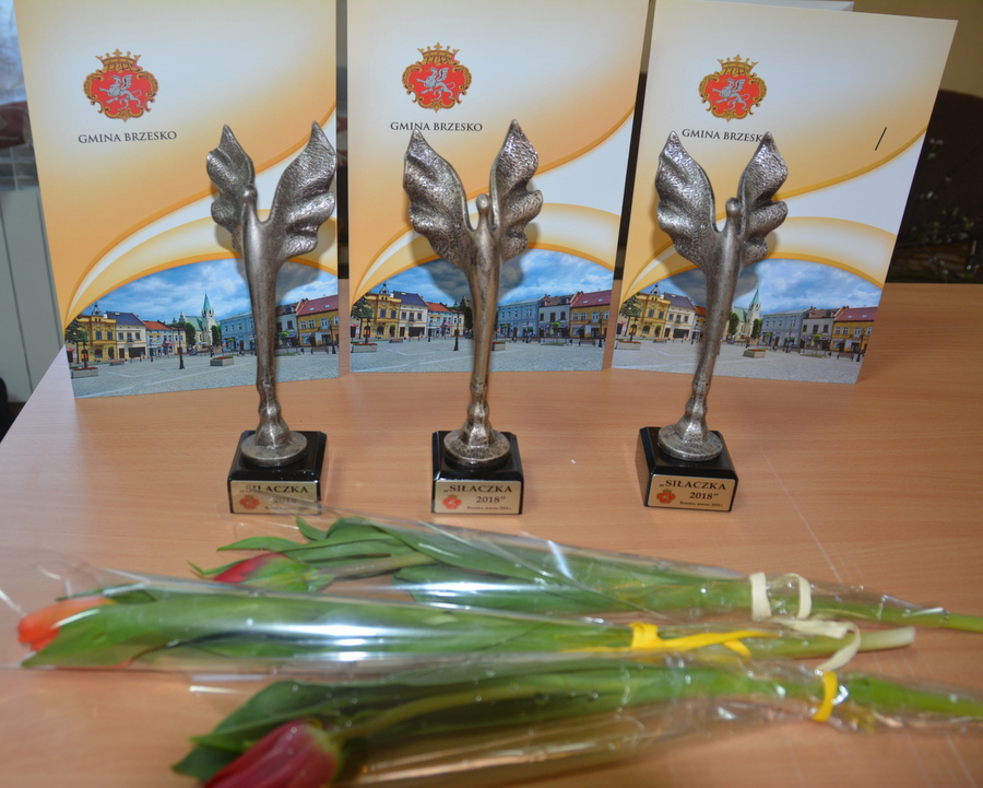 Święto Kobiet w Wokowicach